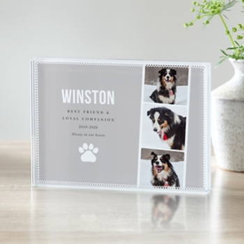 Loyal Companion Pet Photo Glass Block