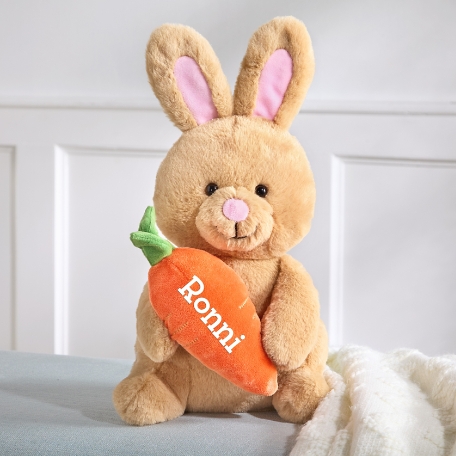Plush Cuddle Bunny with Carrot