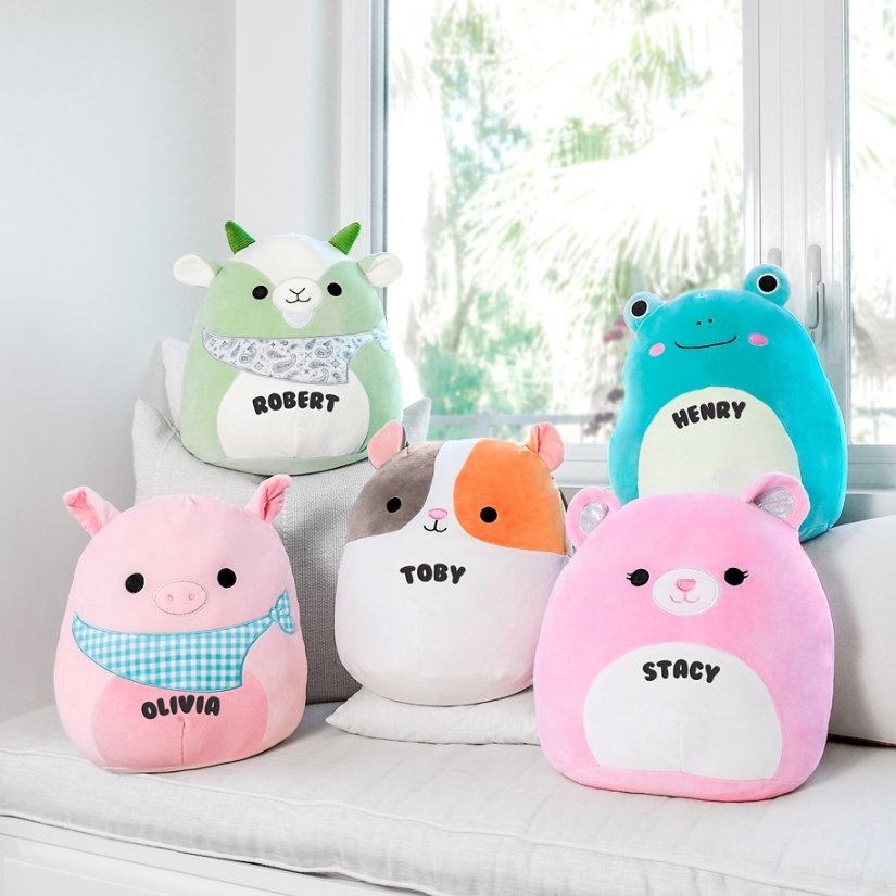 Personalized squishmallows sale