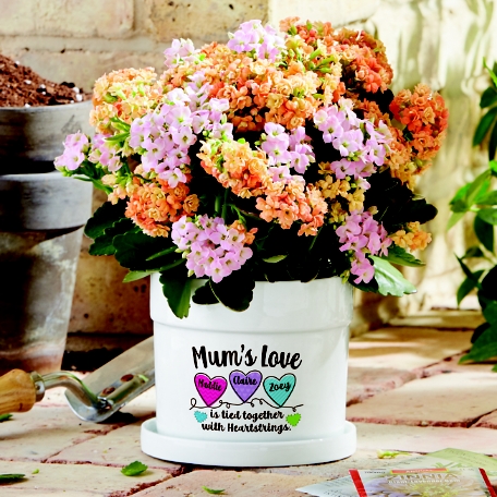 Heartstrings Planter with Tray