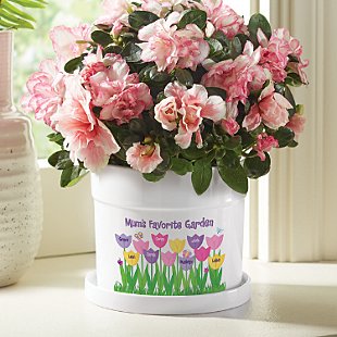 Tulip Garden Flower Pot
