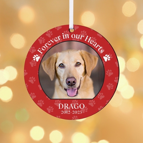 Pet Photo Round Sympathy Ornament