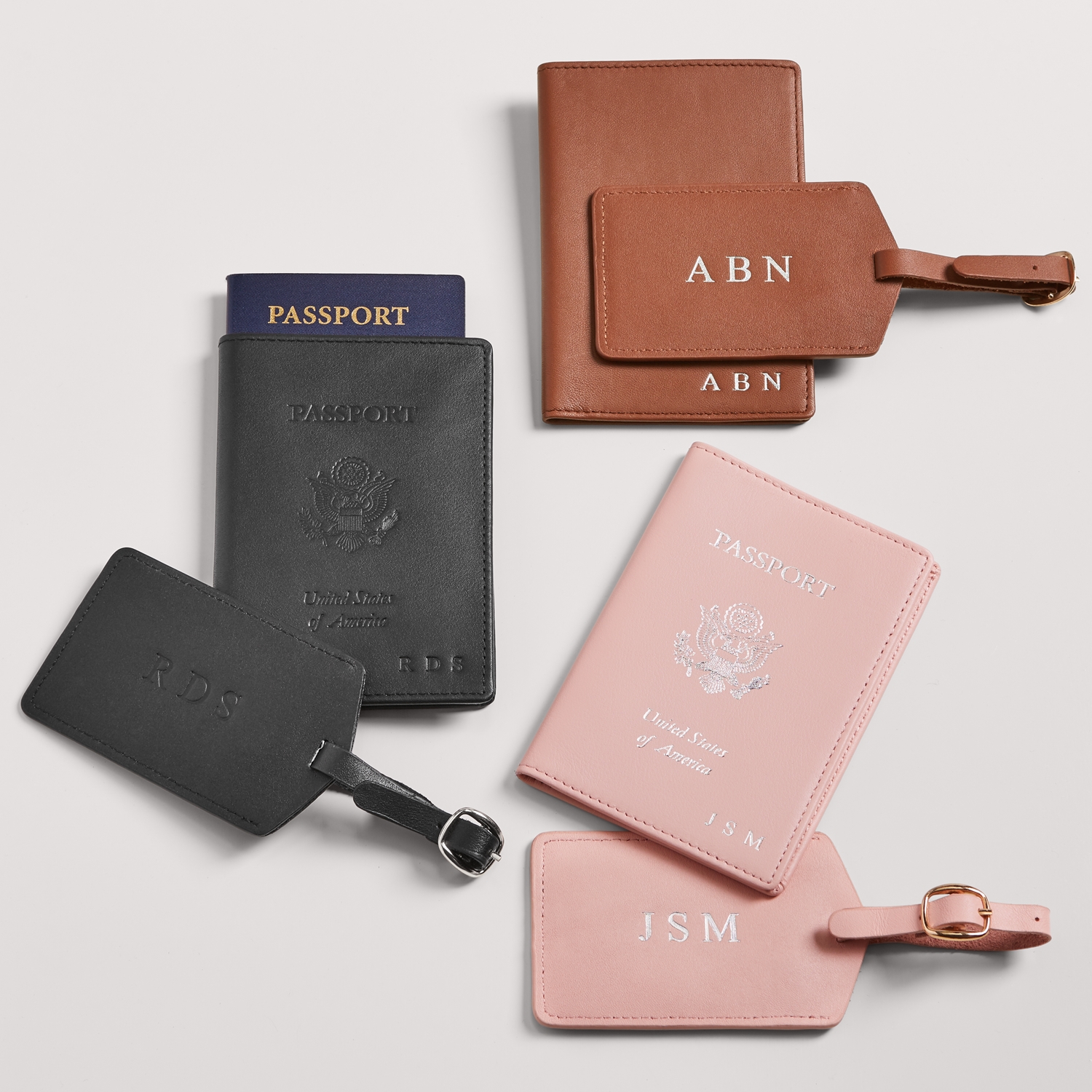 luggage and passport set